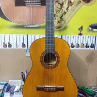 گیتار MV|گیتار، بیس، امپلیفایر|زنجان, |دیوار