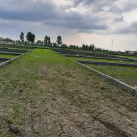 فروش زمین ۲۲۵متری در منطقه خوش آب و هوا