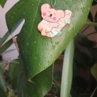 ساخت و طراحی گردنبند چوبی|بدلیجات|کرج, گلشهر|دیوار