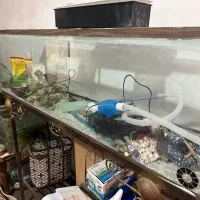 اکواریوم کامل با وسایل