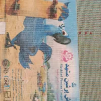 فرش4متری کودک مشهد|فرش|مشهد, شهید علی محمدی|دیوار