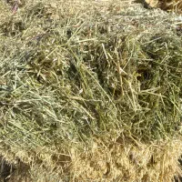 یونجه چین اول|لوازم جانبی حیوانات|مشگین شهر, |دیوار