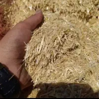 کاه گندم|لوازم جانبی حیوانات|تهران, تهرانسر شرقی|دیوار