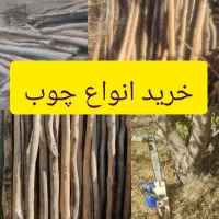 خرید انواع چوب خانەهای قدیمی و چوب باغی