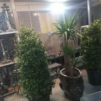 قهوه خونه|استخدام خدمات فروشگاه و رستوران|تهران, اتابک|دیوار