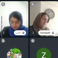 کار در منزل آنلاین خانم با آموزش رایگان