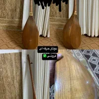 دوتار حرفه ای