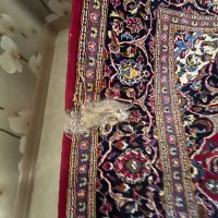 فرش ۹ متری دستبافت زده دار|فرش|کرمانشاه, |دیوار