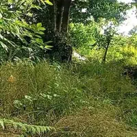 خونه-باغ-4000متری-فرصت-طلایی-خریدیامشارکت