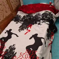 تخت و کمد و دراور|تخت و سرویس خواب|سبزوار, هویزه|دیوار