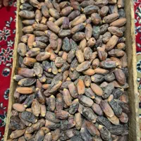 فروش  خرماء دیری   موجود|حراج|کارون, |دیوار