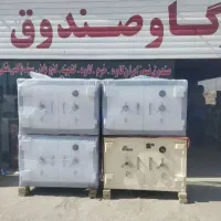گاوصندوق زیر ویترین گاو صندوق خوابیده