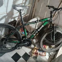 دوچرخه 26 ویوا