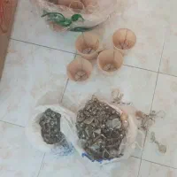 اویز لوستر و کلاهک لوستر|لوستر و چراغ آویز|تهران, شهران جنوبی|دیوار