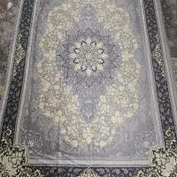 روبالشتی و پادری