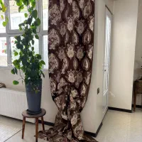 والان کنار پرده مخمل
