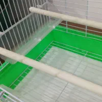 قفس نونو بدون استفاده|لوازم جانبی حیوانات|ایلام, |دیوار