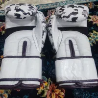 دستکش بوکس|تجهیزات ورزشی|ایلام, |دیوار