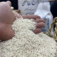 برنج هاشمی
