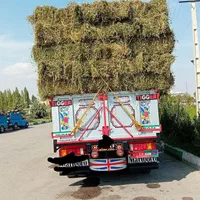 کاه گندوم.|لوازم جانبی حیوانات|اردبیل, |دیوار