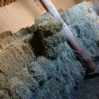 بیده یونجه|لوازم جانبی حیوانات|شیروان (خراسان), |دیوار