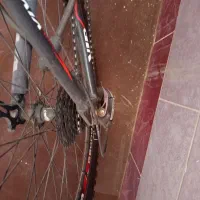 دوچرخه 26ویوا