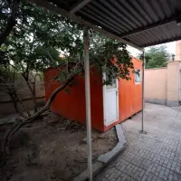 کانکس