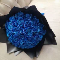 گل روبانی،گل جاودان