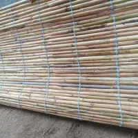 حصیر بافی|صنایع دستی و سایر لوازم تزئینی|گنبد کاووس, |دیوار