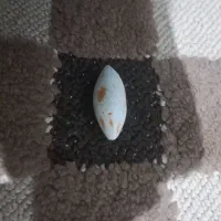 مهر.    اصل|جواهرات|فاضل آباد, |دیوار