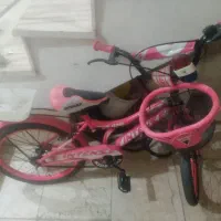 دو عدد دوچرخه