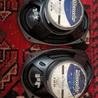 یک جفت باند خیلی خیلی تمیز نو