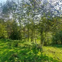 زمین الحاق به بافت ۱۳۸۷ متری  شیرگاه / پل شاهپور|فروش زمین و ملک کلنگی|شیرگاه, |دیوار