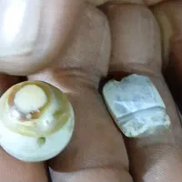 مهره قدیمی سنگ