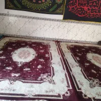 قالی