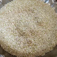 مقداری محدود خرده برنج چمپای نوراباد