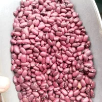 فروش حبوبات خرده