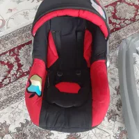 کریر و روروئک|کالسکه و لوازم جانبی|صائین قلعه, |دیوار