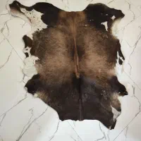 پوست گاو دباغی شده