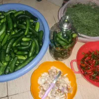 خیارشور بومی شیراز|خوردنی و آشامیدنی|شاهین‌شهر, کوی مهدیه|دیوار