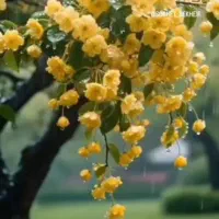 فروش ویژه ۹۰ متری، فقط امروز زیر فی