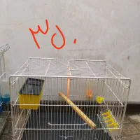 سهره،ملیحه،انواع قفس