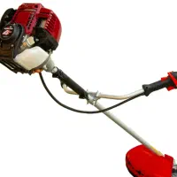 علفتراشی هرس کاری و اره موتور و سم پاشی|خدمات باغبانی و درختکاری|عباسآباد, |دیوار