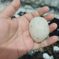 سنگ قیمتی قدیمی