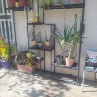 فروش استند گل اهنی|گل و گیاه طبیعی|شیراز, شهرک قمشه|دیوار