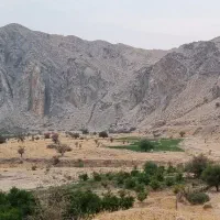 اجاره ۶ هکتار زمین کشاورزی