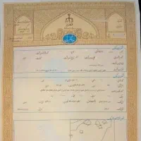 زمین-256متر-با-پروانه-همکف-بالا