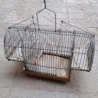 قفس تله دستساز