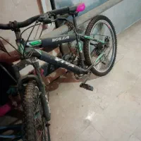 دوچرخه26ویوا