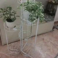 استند گل و گیاه